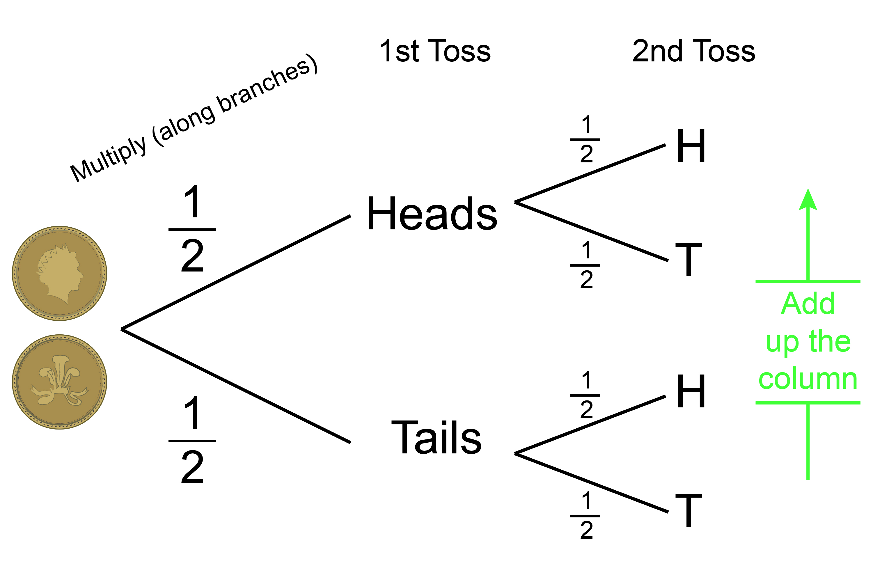 Probability tree of tossing a coin